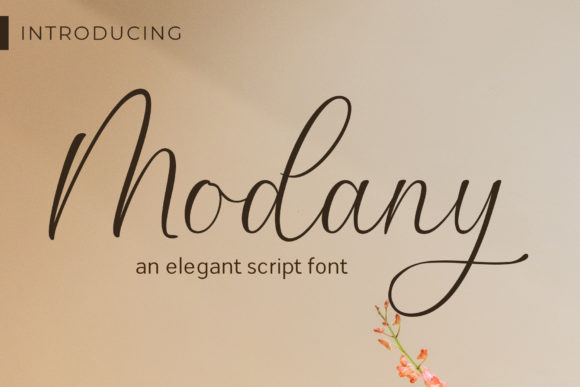 Modany: A Sweet Digital Display Font for Modern Web Design