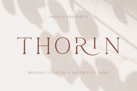Thorin: A Serif Font for Makers Who Value Elegant Details